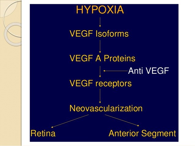 Mechanism of action of avastin